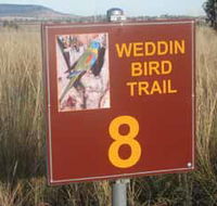 Weddin Bird Trails - Accommodation QLD