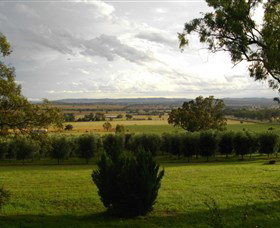 Wollundry Grove Olives - Accommodation QLD 1