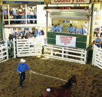 Gracemere Exhibition Complex - Accommodation QLD
