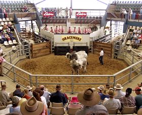 Gracemere Exhibition Complex - Accommodation QLD 1