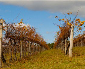 Charles Sturt University Winery Wagga Wagga - Accommodation QLD 3