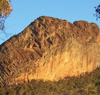Kaputar scenic drive - Accommodation QLD