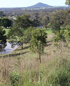 Mt Piper Nature Conservation Reserve - Accommodation QLD 1