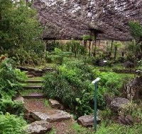 Burrendong Botanic Garden and Arboretum - Accommodation QLD