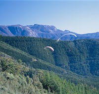 Buffalo Brewery - Accommodation QLD