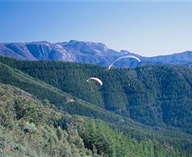 Buffalo Brewery - Accommodation QLD 0