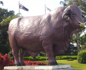 Rockhampton Bull Statues - Accommodation QLD 0