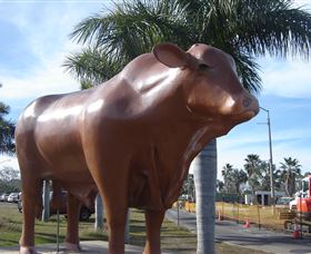 Rockhampton Bull Statues - Accommodation QLD 3