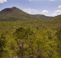 Kutini-Payamu Iron Range National Park CYPAL - Accommodation QLD