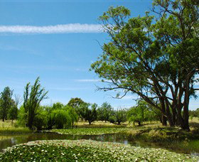 Burrumbuttock ACT Accommodation QLD