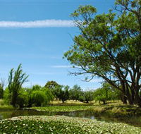 Wirraminna Environmental Education Centre - Accommodation QLD