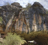 Borenore Karst Conservation Reserve - Accommodation QLD