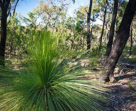Staughton Vale VIC Accommodation QLD