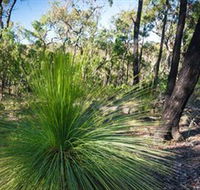 Brisbane Ranges National Park - Accommodation QLD