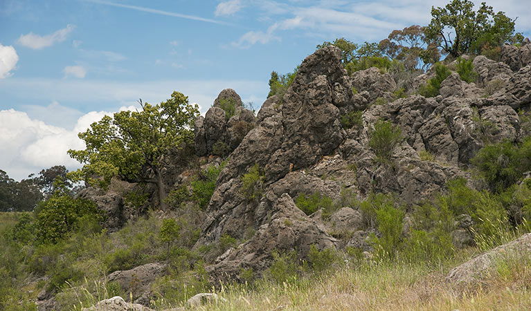 Lidster NSW Accommodation QLD