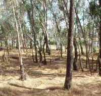 Chiltern-Mt Pilot National Park - Accommodation QLD