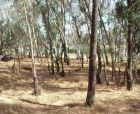 Chiltern-Mt Pilot National Park - Accommodation QLD 0