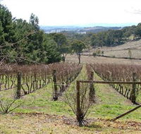 Habitat Vineyard - Accommodation QLD