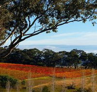 Bloodwood Estate - Accommodation QLD