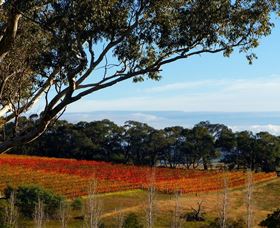 Bloodwood Estate - Accommodation QLD 0