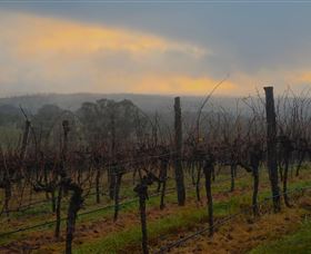 Bloodwood Estate - Accommodation QLD 1