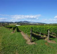 Hedberg Hill Wines - Accommodation QLD