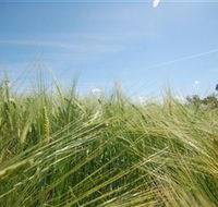 150 Degrees East Meridian - Accommodation QLD