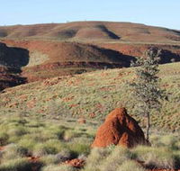 Camel Trail Millstream-Chichester National Park - Accommodation QLD