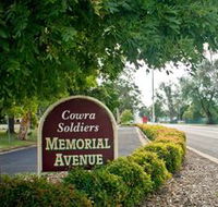 Memorial Avenue in Cowra - Accommodation QLD