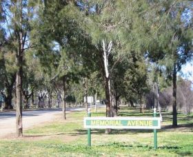 Memorial Avenue In Cowra - Accommodation QLD 1