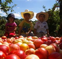 Bonny Glen Fruits - Accommodation QLD