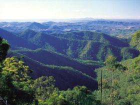 Kroombit Tops National Park - Accommodation QLD 0