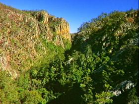 Kroombit Tops National Park - Accommodation QLD 2