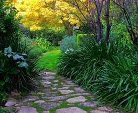 Out Of Town Nursery And Humming Garden - Accommodation QLD 2