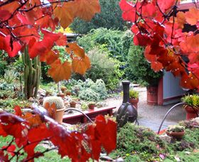 Out Of Town Nursery And Humming Garden - Accommodation QLD 1