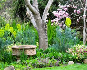 Out Of Town Nursery And Humming Garden - Accommodation QLD 4