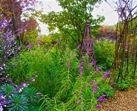 Out Of Town Nursery And Humming Garden - Accommodation QLD 7