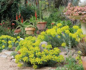 Out Of Town Nursery And Humming Garden - Accommodation QLD 8
