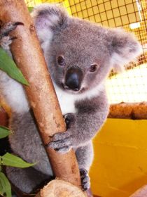  Accommodation QLD