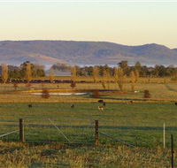 Holbrook Landcare Self-Drive Eco Tour - Accommodation QLD