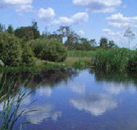 Yan Yean Reservoir Park - Accommodation QLD