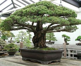 Peards Complex Albury - Accommodation QLD 0