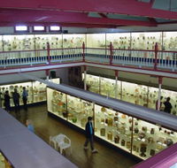 National Museum of Australian Pottery - Accommodation QLD