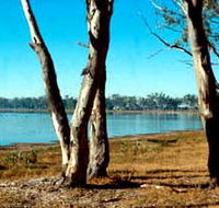 Lake Broadwater Conservation Park - Accommodation QLD
