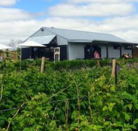 Ravens Creek Farm - Accommodation QLD