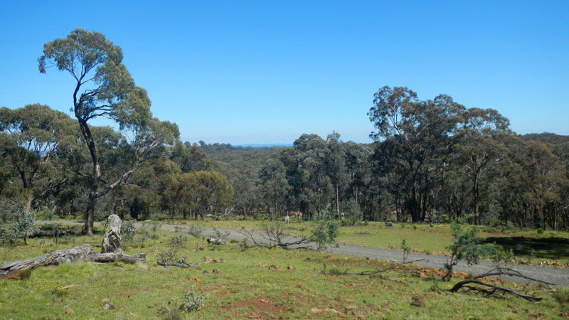 Hill End NSW Accommodation QLD