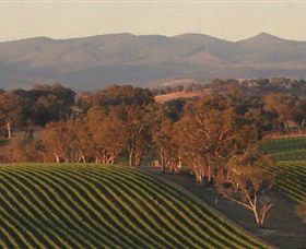 Angullong Wines - Accommodation QLD 0