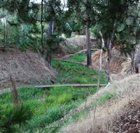 Lions Club Bicentennial Walk - Accommodation QLD