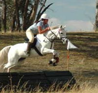 National Equestrian Centre - Kerrabee - Accommodation QLD