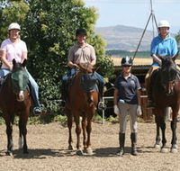 Forest Park Riding and Equitation School - Accommodation QLD